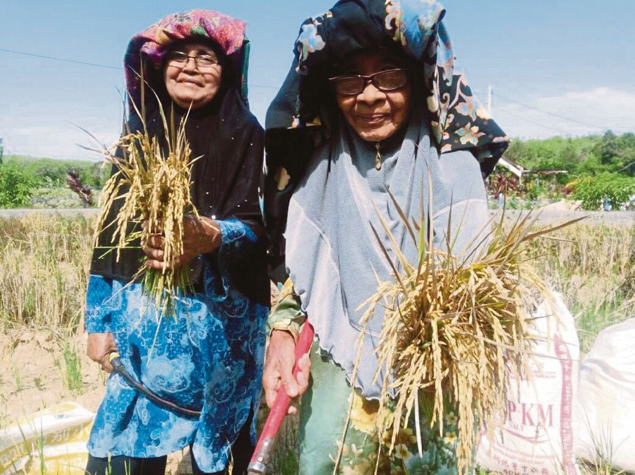 AZIZAH (kiri) dan Siti Mariam menunjukkan padi yang dikerat