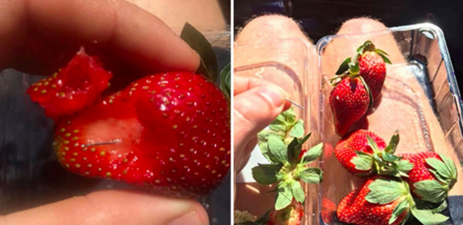 Antara jenama strawberi Australia dipercayai dicemari dengan jarum menjahit dan pin. - Foto Yahoo News
