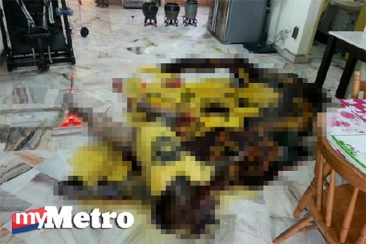 Mayat terlentang di ruang tamu Harian Metro