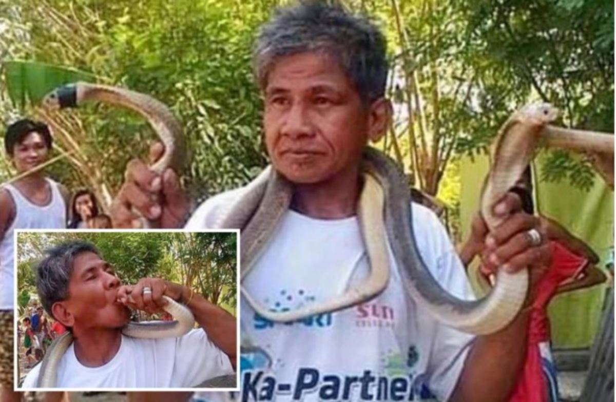 LELAKI Ular maut selepas dipatuk ular tedung paling berbisa. FOTO ViralPress.