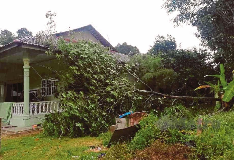  ANTARA rumah penduduk yang  rosak dalam kejadian ribut  di daerah Temerloh, petang semalam. 