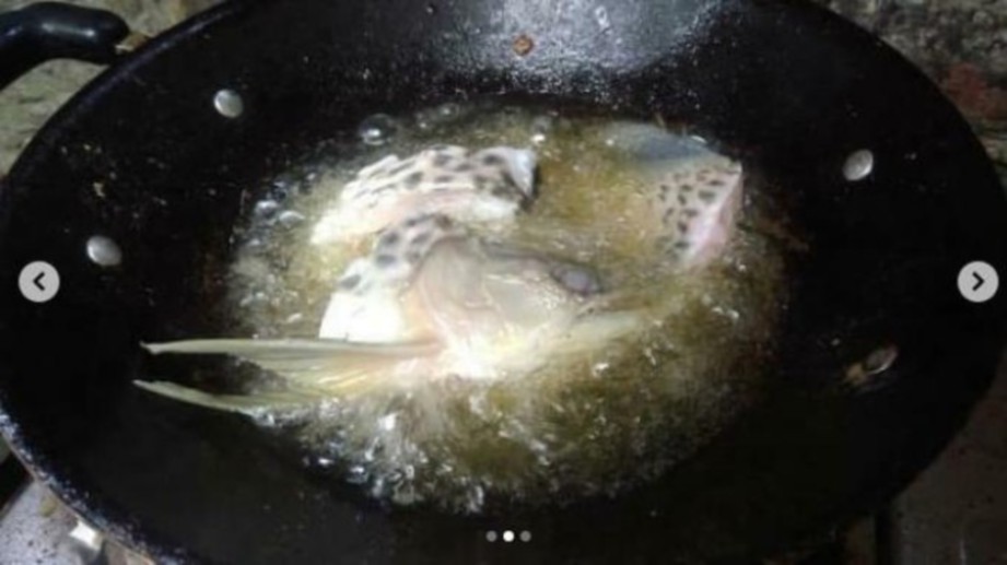 Ikan arowana berharga Rp2 juta digoreng bapanya. Pix Agensi 