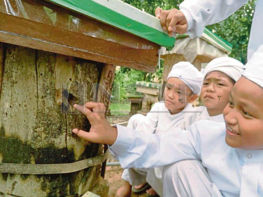PELAJAR Madrasah Tahfiz Taufiqillah menunjukkan sarang kelulut yang diusahakan di Taufiqillah Stingless Bee Farm di Kampung Lembah Arang, Wang Tepus. FOTO/NOORAZURA ABDUL RAHMAN