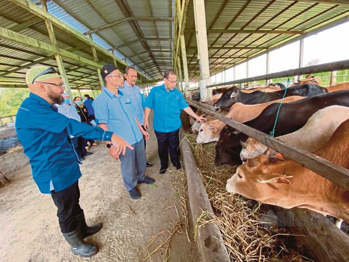  ABDUL Fattah   (kanan) melawat ladang ternakan milik  Konsortium Koperasi Kariah Masjid Malaysia Berhad (KONSORMAS)  di Kampung Kuala Jerang, Negeri Sembilan.