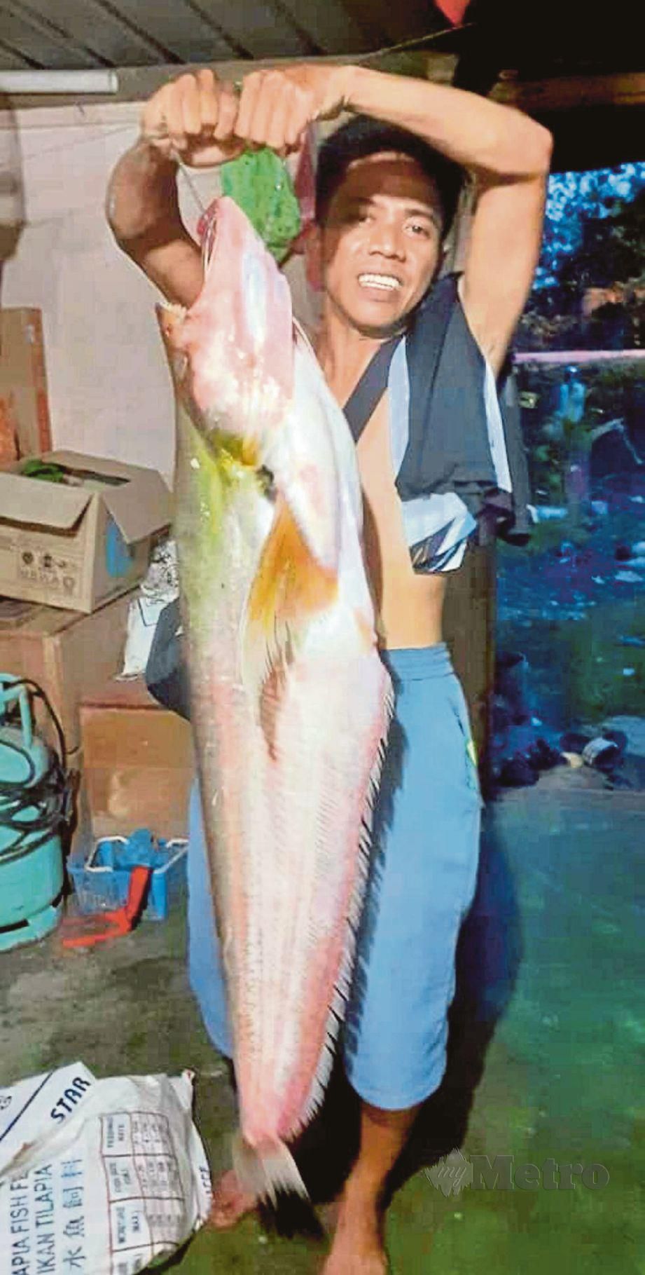 HAFIZ menunjukkan ikan gerahak seberat 8.6kg yang berjaya ditangkap.