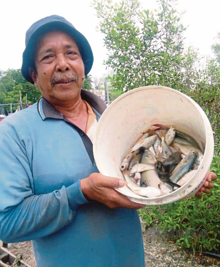 RAZALI menunjukkan hasil tangkapan ikan yang sedikit akibat cuaca tidak menentu di Kuala Tebengau. FOTO Noorazura Abdul Rahman
