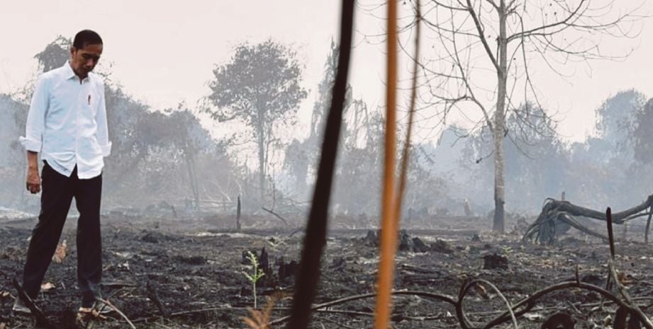 JOKOWI melakukan tinjauan di lokasi kebakaran hutan di Pekanbaru, Riau, semalam.  FOTO AFP