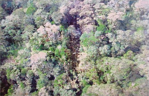 GAMBAR yang dirakam agensi mencari dan menyelamat Indonesia (BASARNAS) menunjukkan kawasan yang dipercayai tempat pesawat milik Trigana Air terhempas berhampiran Oksibil, Papua. 