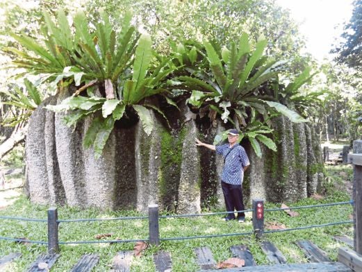 BONGKAH batu granit menjadi tarikan di taman rekreasi Spritzer Ecopark, Air Kuning, Pokok Assam. 