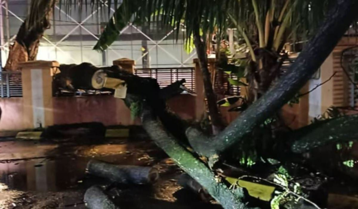 PREMIS berhampiran Balai Bomba dan Penyelamat Hang Hang Tuah yang dihempap pokok tumbang akibat ribut. FOTO Ihsan JBPM.