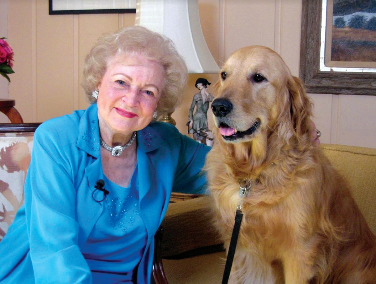 PONTIAC anjing kesayangan yang menemani Betty sepanjang hayatnya. - FOTO Google