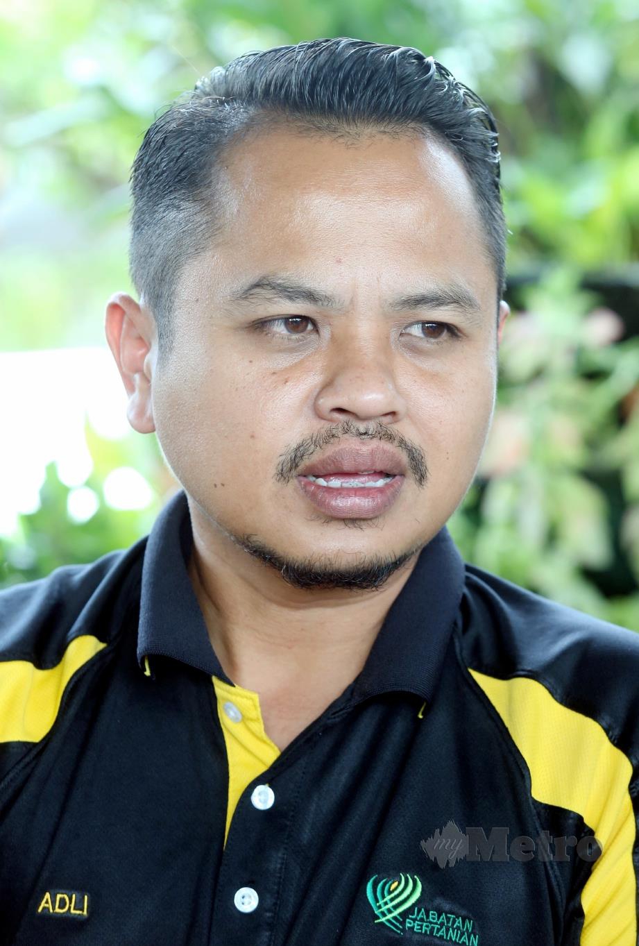 Penolong Pengarah Jabatan Pertanian, Mohamad Adli Salihin Samsudin. 