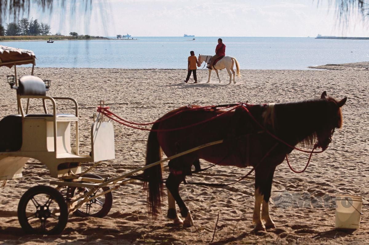 AKTIVITI menunggang kuda di pantai suatu pengalaman menarik dan berbeza bagi aktiviti riadah di pantai. 