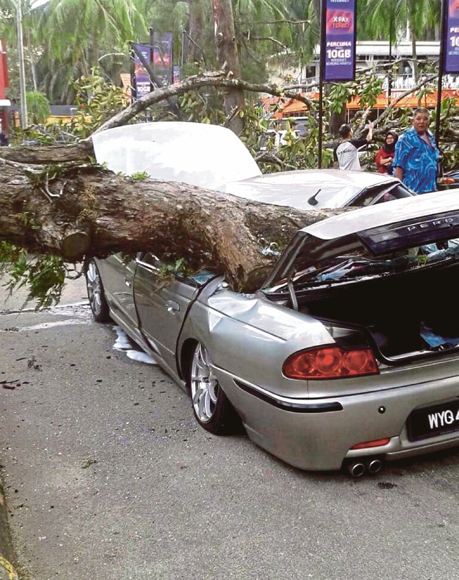 KEADAAN kereta yang dihempap pokok dalam kejadian petang, semalam