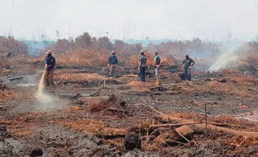 ANGGOTA Balai Bomba dan Penyelamat Banting memadam kebakaran Hutan Simpan Kuala Langat Selatan.