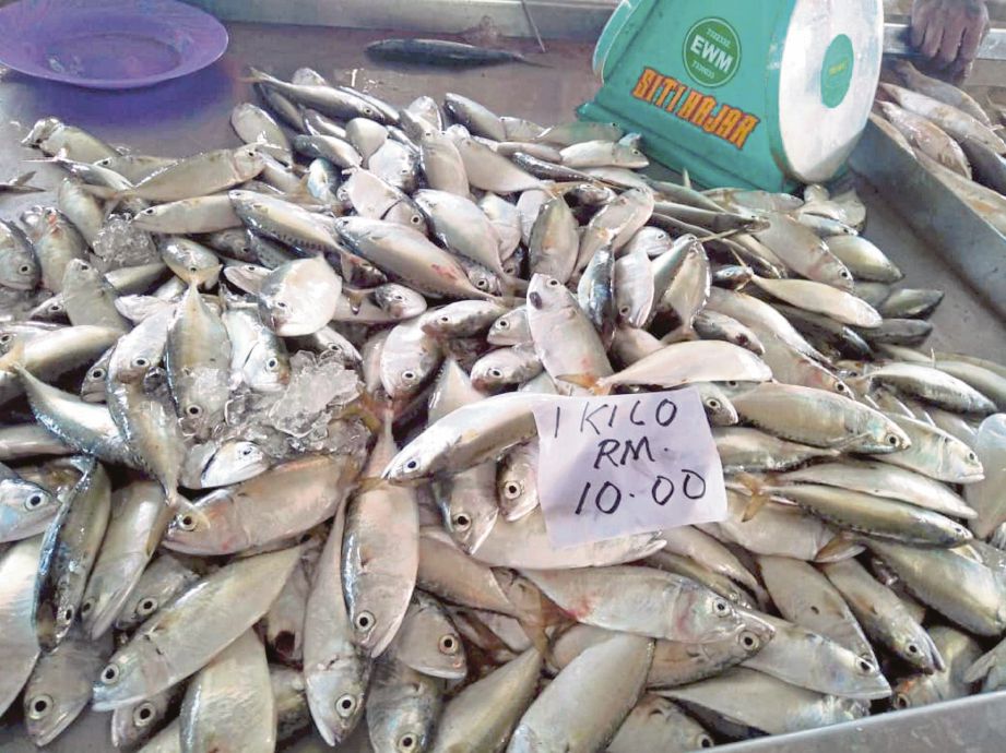 HARGA pasaran ikan kembung meningkat dan dijual pada harga RM10 sekilogram.