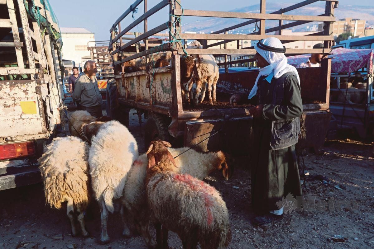 SEORANG petani menunggu pembeli haiwan ternakannya menjelang sambutan Aidiladha di sebuah  pasar ternakan di bandar Nablus, Tebing Barat, Palestin. 