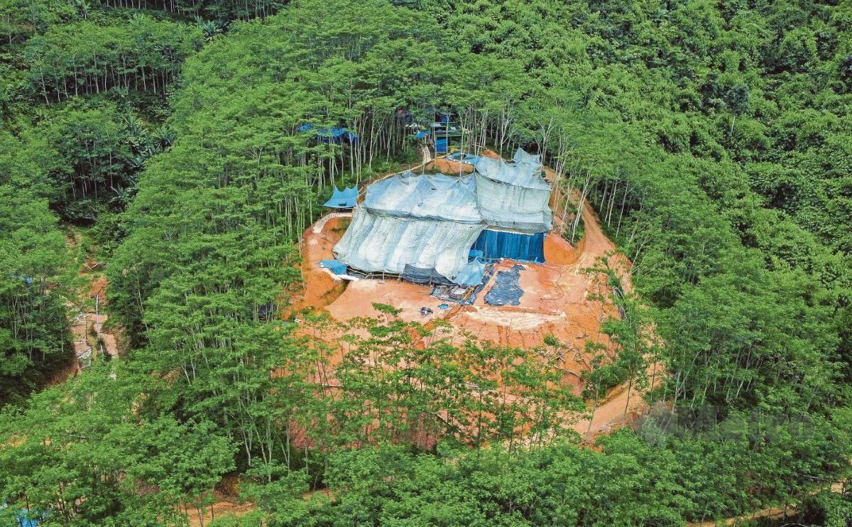 KAWASAN Hutan Simpan Bukit Enggang, Sik yang didakwa memproses nadir bumi REE. FOTO NSTP.