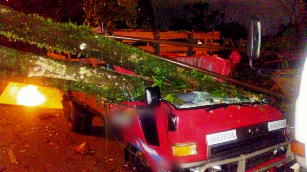 POKOK tumbang yang menyebabkan rumah serta kenderaan di Taman Desa Riang, Damansara Damai, Petaling Jaya. FOTO Ihsan Bomba