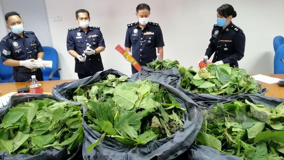 MOHD Khairiel (tengah) menunjukkan ketum dan mercun yang dirampas polis. FOTO Abnor Hamizam