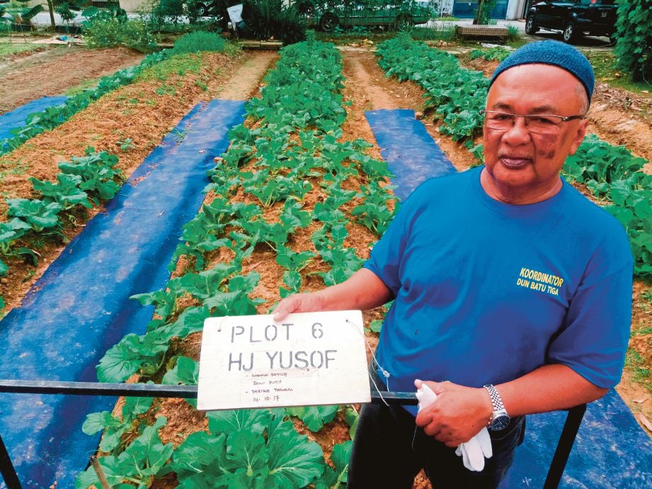 MOHD Yusof menunjukkan hasil tanamannya di batas kebun komuniti Seksyen 17, Shah Alam.