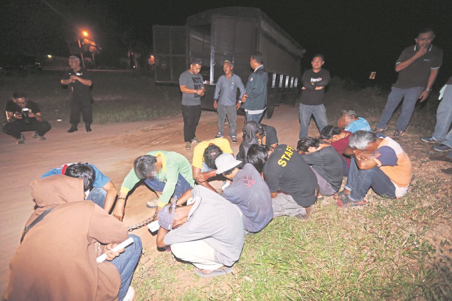 SERAMAI  14 lelaki ditahan dalam gerakan di ladang sawit Sungai Udang, semalam.