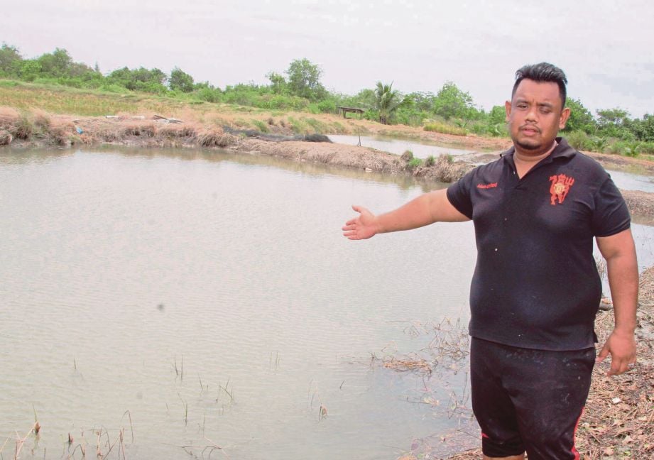 RIDZUAN menunjukkan kolam ikan kelinya yang ditenggelami air pasang besar di Kuala Kedah, semalam. 