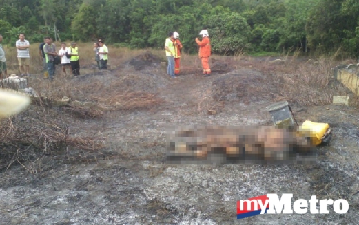 MANGSA melecur teruk meninggal dunia di tempat kejadian. Foto ihsan Bomba