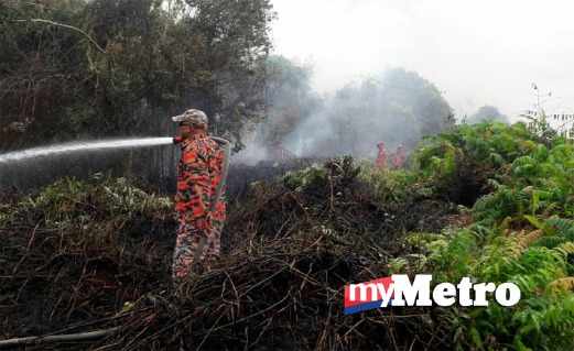 ANGGOTA bomba memadamkan kebakaran hutan belukar. FOTO ihsan Bomba