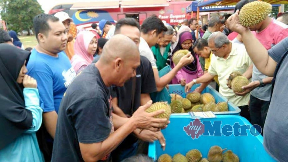 PENGGEMAR durian memilih buah pada karnival jualan durian di Indera Mahkota Jaya. FOTO Mohd Rafi Mamat