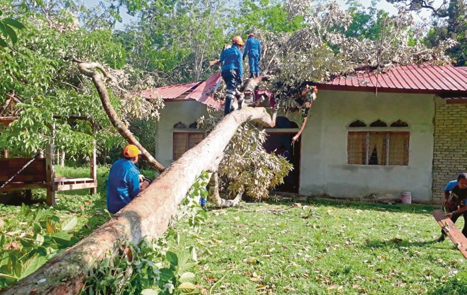 ANGGOTA APM membantu memotong dan membersih pokok yang tumbang di rumah penduduk Kampung Dalam Wang.