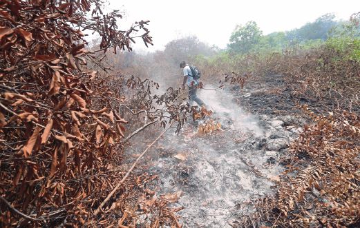 Keadaan hutan yang terbakar di belantara Rimbo Panjang, Kampar.