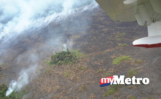 KAWASAN yang masih terjejas dalam kebakaran hutan itu. FOTO Mohd Rizal Abdullah