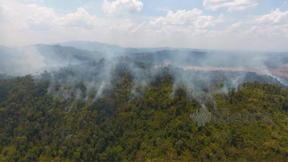 KAWASAN tompokan api di Hutan Simpan Kekal, Bukit Enggang. FOTO ihsan bomba
