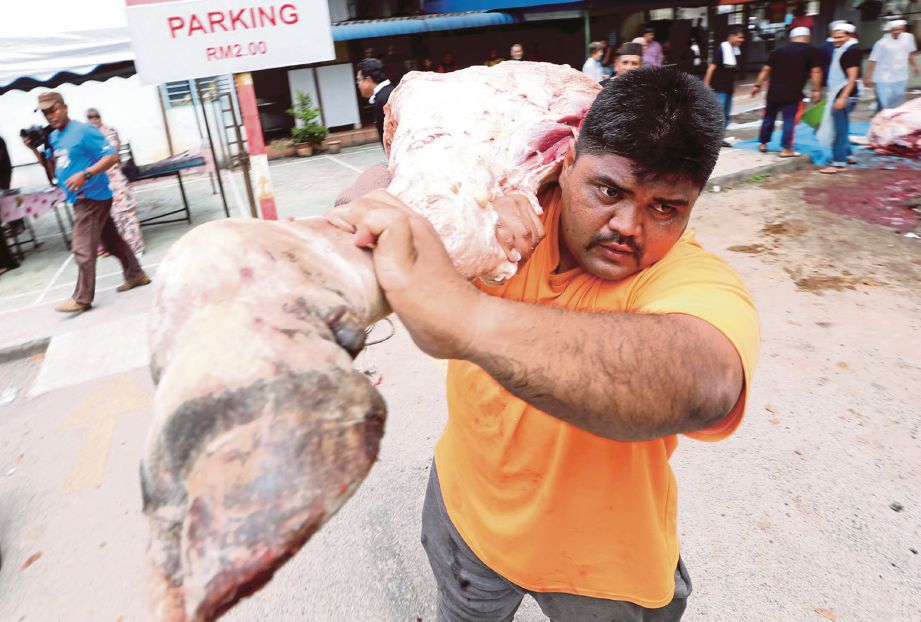PENDUDUK setempat bergotong-royong mengangkat daging lembu korban  di Masjid Jamek Shaik Eusof Dhoby Ghout, Pulau Pinang.