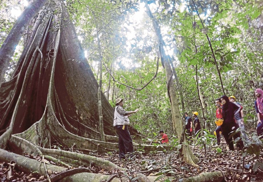 SEBAHAGIAN peserta Pahang Eco dan Heritage Exploration diberi taklimat oleh Pegawai Perhutanan di Taman Rimba Kenong. FOTO/LUQMAN HAKIM ZUBIR