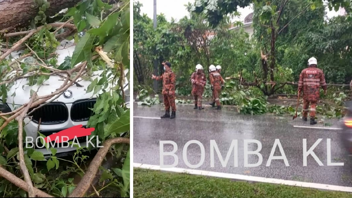 ANTRA kawasan kejadian pokok tumbang akibat hujan lebat di ibu negara. FOTO ihsan Bomba