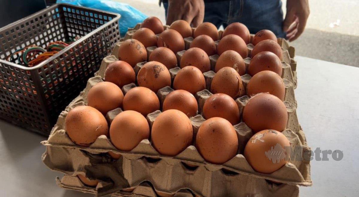 ANTARA telur ayam kotor yang djiual pemborong. FOTO Faizul Azlan Razak
