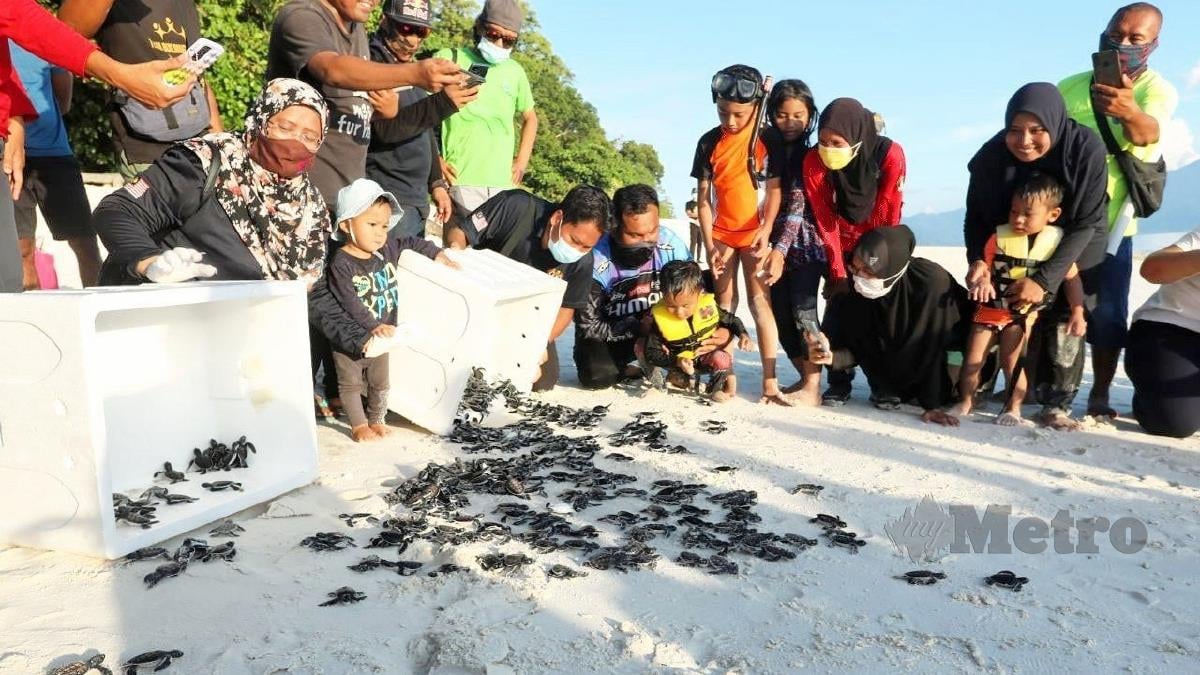 HALINA (kiri) melepaskan anak penyu jenis agar di Pulau Tulai. FOTO Mohd Rafi Mamat