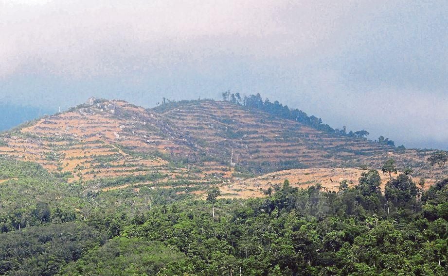 KEADAAN bukit yang digondolkan dipercayai menjadi punca  banjir kilat di Kampung Dingkir, Inas.