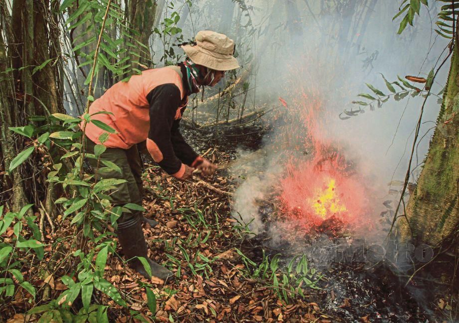 PETUGAS memadam kebakaran hutan di Ogan Ilir, Sumatera Selatan.