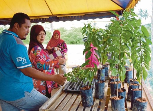 Kamarul Ariffin memberi penjelasan kepada pelanggan mengenai kaedah menanam dan menjaga pokok durian belanda.
