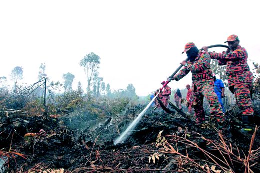 GAMBAR fail menunjukkan  anggota bomba memadamkan kebakaran hutan tanah gambut di Kampung Bahagia Toh Kah Dungun, tahun lalu.