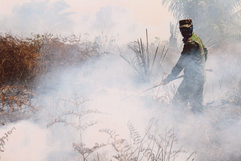 SEORANG askar berusaha memadamkan kebakaran di kawasan tanah gambut di kampung Suak Raya di Aceh Barat semalam. - Reuters