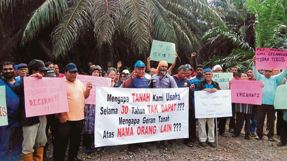 PENEROKA mengadakan bantahanaman terhadap penebangan pokok kelapa sawit yang diusahakan mereka di Hutan Simpan Raja Musa, Bestari Jaya. 