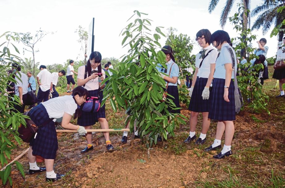 Program penanaman pokok bersama guru dan pelajar Nagasaki Nichidai High School dari Jepun di Hutan Bandar Cyberjaya tidak lama dulu. 