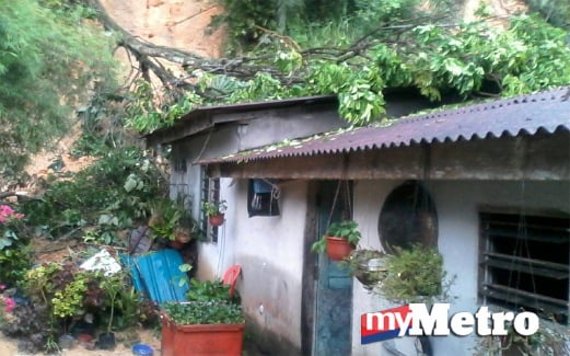 HUJAN lebat menyebabkan tanah runtuh dan pokok tumbang yang menhempap rumah penduduk kampung. FOTO Noor Hidayah Tanzizi
