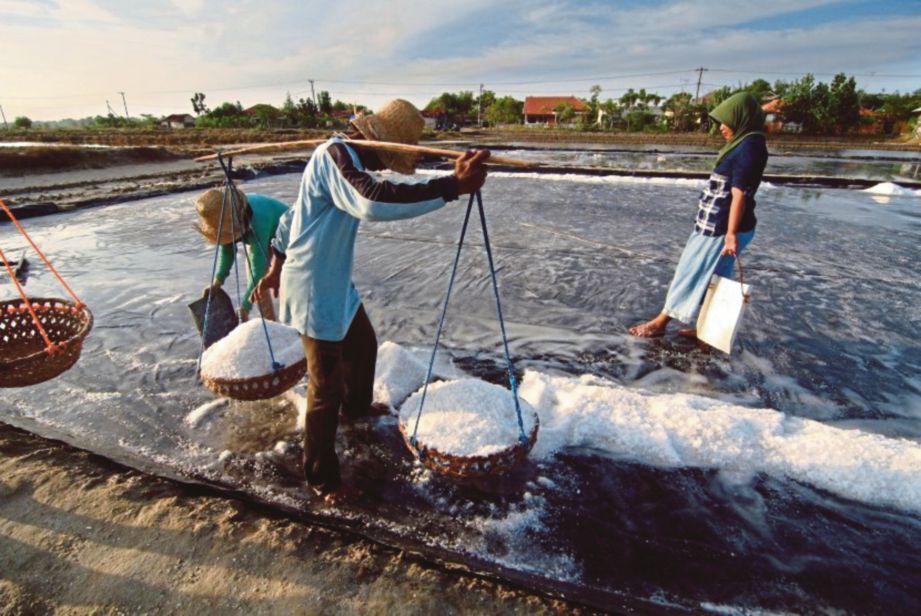 GAMBAR hiasan, penurunan pengeluaran garam dalam negara menjadi faktor kekurangan komoditi itu di Indonesia. - Antara