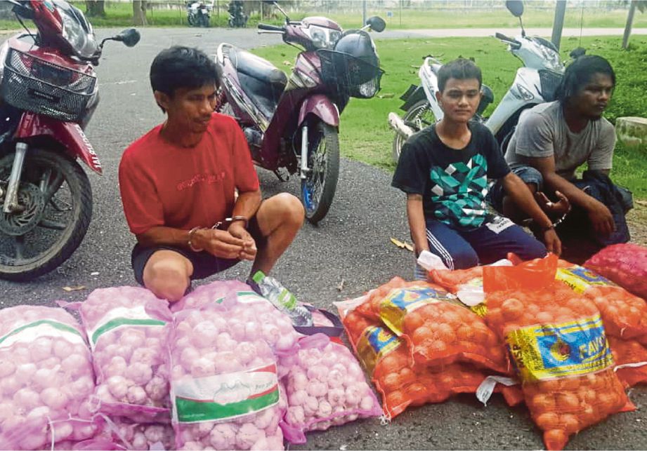 TIGA lelaki warga Thailand yang ditahan anggota Batalion 2 Pasukan Gerakan Am PGA ketika cuba menyeludup 220 kilogram bawang di sempadan Padang Besar. FOTO ihsan PGA