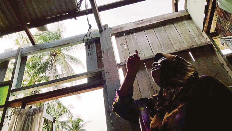 NOR Aiha menunjukkan bumbung rumahnya yang ranap dihempap pokok kelapa. 